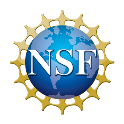 NSF Logo Small-01